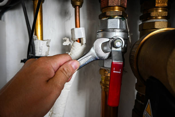 Best Commercial Plumbing Services  in Lansing, IL